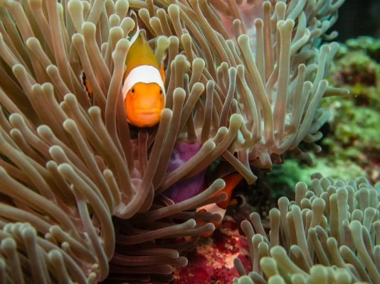 P3020868.webp P3020868.webp