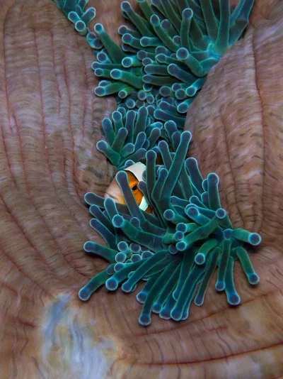 P3030942.webp P3030942.webp