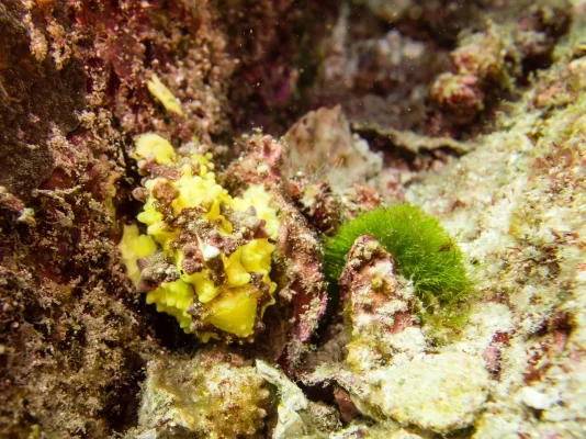 P3020851.webp P3020851.webp