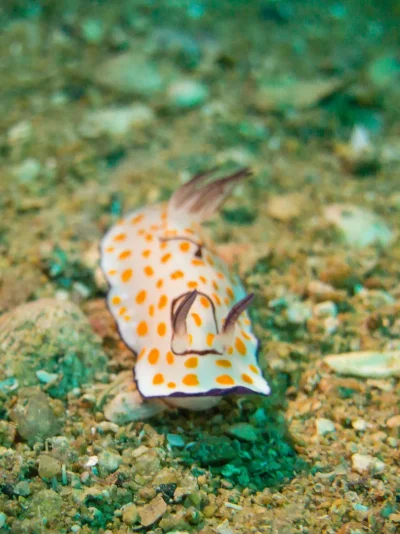 P3050990.webp P3050990.webp