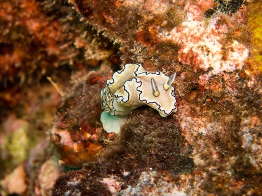 P3050997.webp P3050997.webp