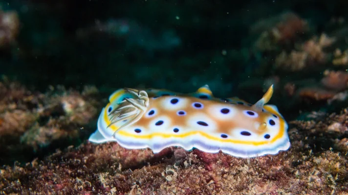 P3051001.webp P3051001.webp