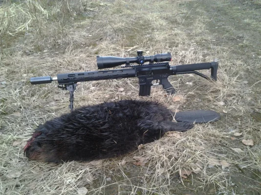 2014-04-20 20.49.06.webp