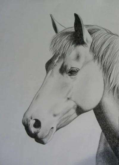 IMG_2004.webp IMG_2004.webp