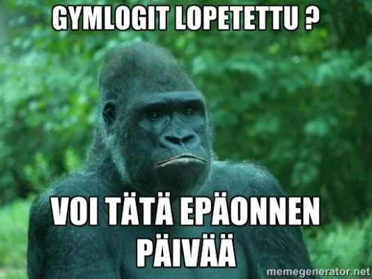 gorillaakin_harmittaa.webp