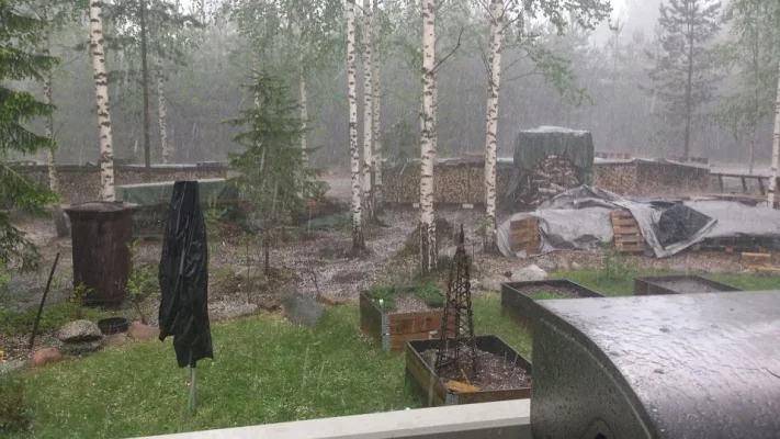 rakeet2.webp rakeet2.webp