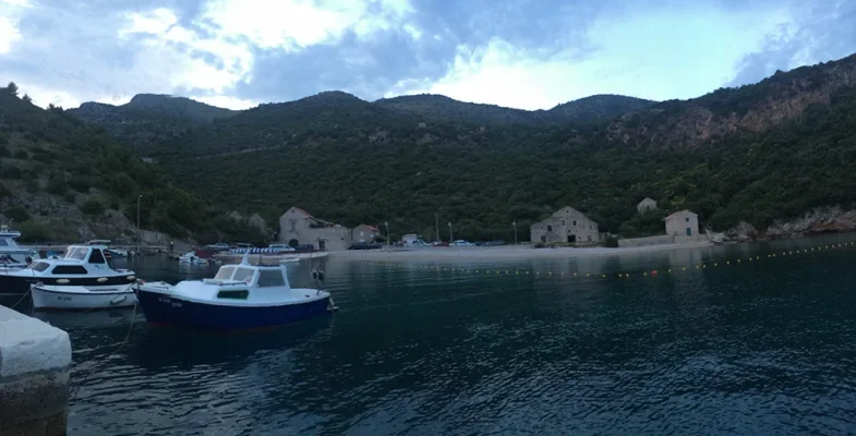 IMG_3245.webp IMG_3245.webp