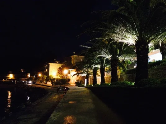 IMG_3270.webp IMG_3270.webp