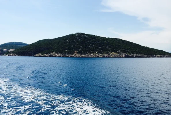 IMG_3434.webp IMG_3434.webp