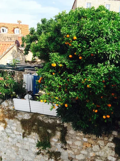 IMG_3459.webp IMG_3459.webp