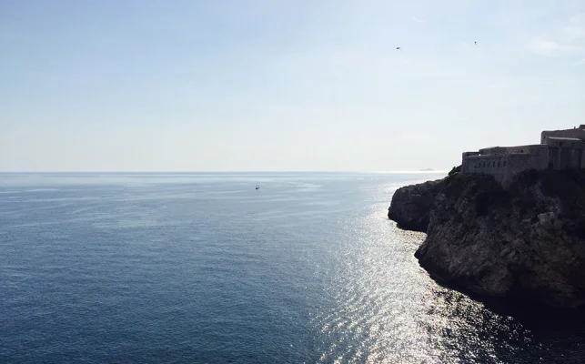 IMG_3460.webp IMG_3460.webp