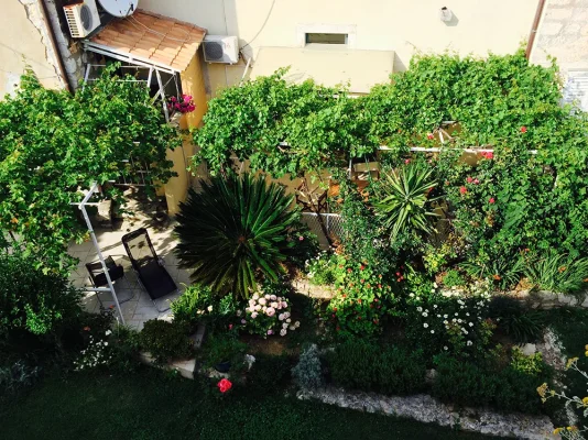 IMG_3464.webp IMG_3464.webp