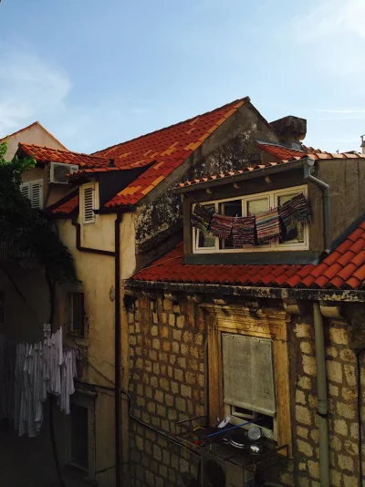 IMG_3512.webp IMG_3512.webp