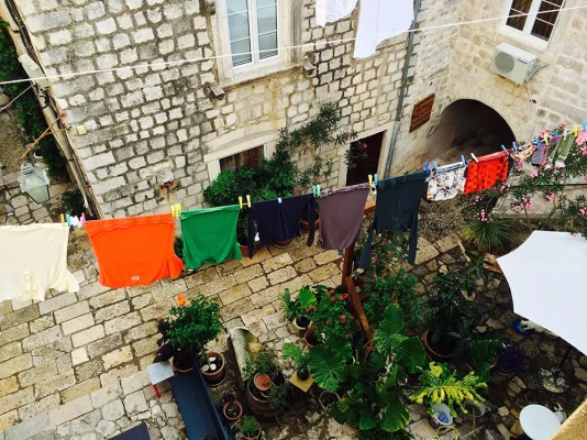 IMG_3513.webp IMG_3513.webp