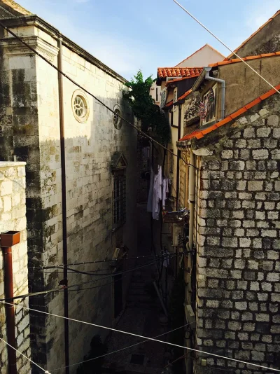 IMG_3515.webp IMG_3515.webp