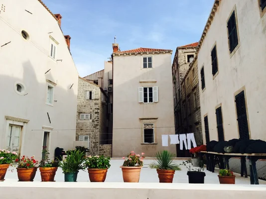 IMG_3518.webp IMG_3518.webp