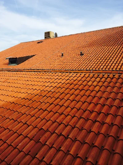 IMG_3521.webp IMG_3521.webp