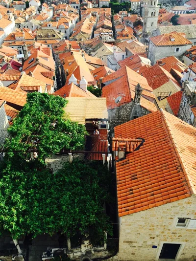 IMG_3590.webp IMG_3590.webp