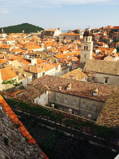 IMG_3601.webp IMG_3601.webp