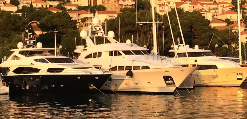 IMG_3617.webp IMG_3617.webp