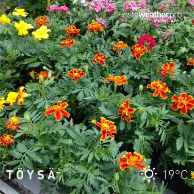 image.webp image.webp