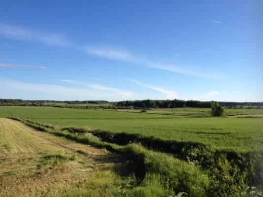 image.webp image.webp