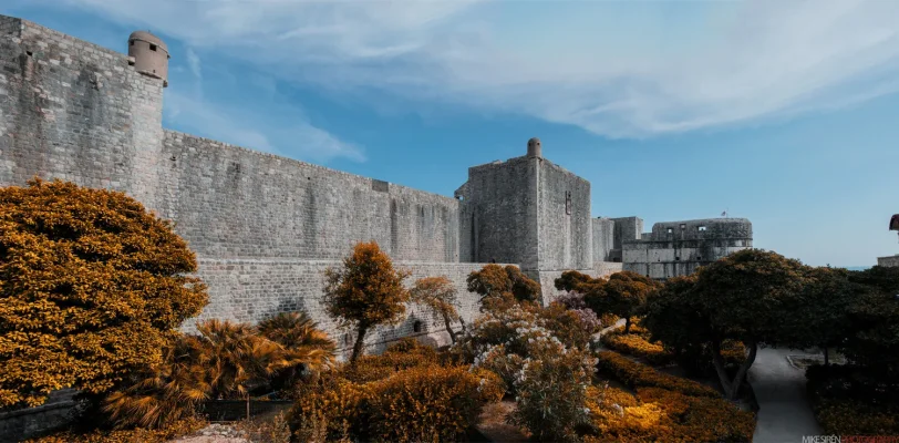 pano1.webp pano1.webp