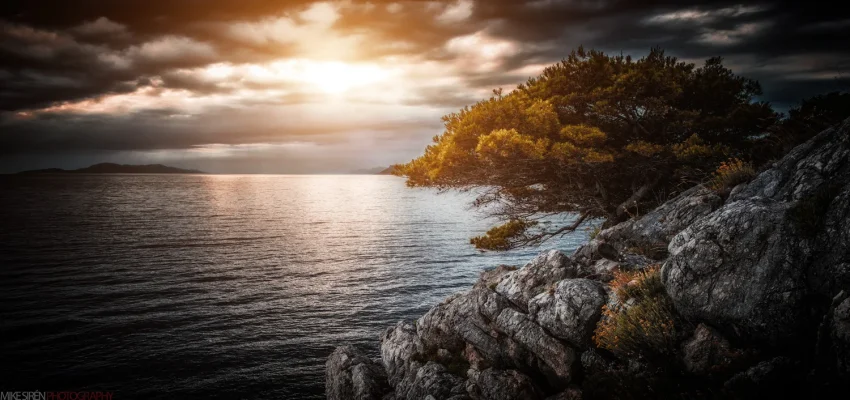 800_0638.webp 800_0638.webp