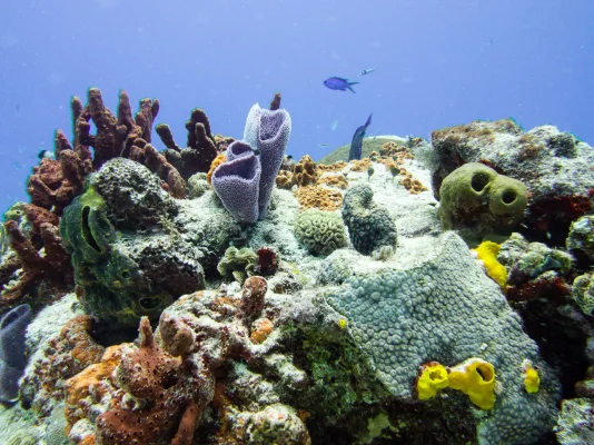 P6081280.webp P6081280.webp