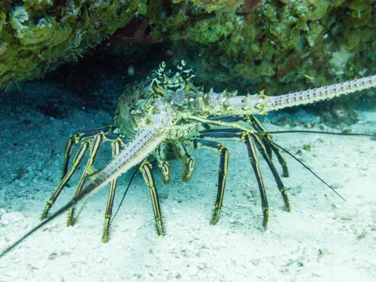 P6081221.webp P6081221.webp