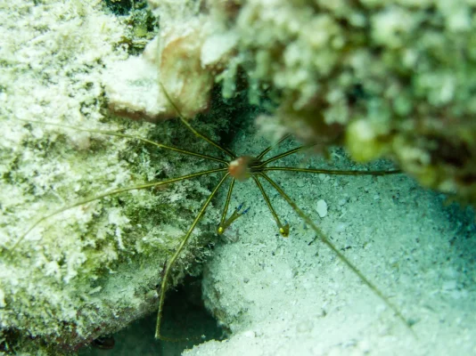 P6071160.webp P6071160.webp