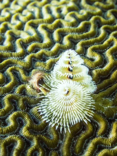 P6081261.webp P6081261.webp