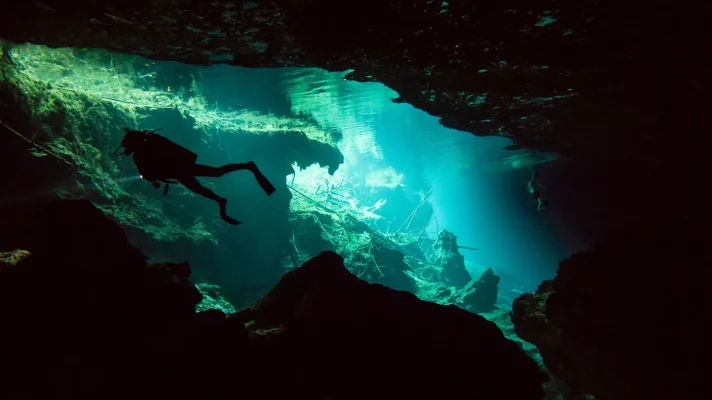 P6101377.webp P6101377.webp