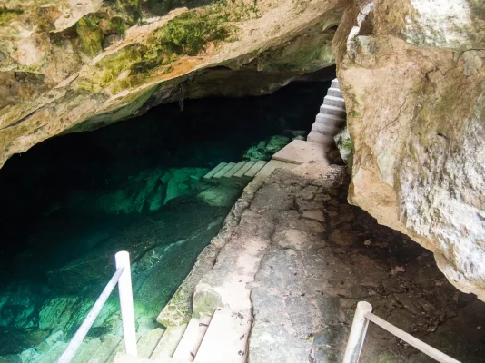 P6101369.webp P6101369.webp