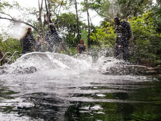 P6101371.webp P6101371.webp