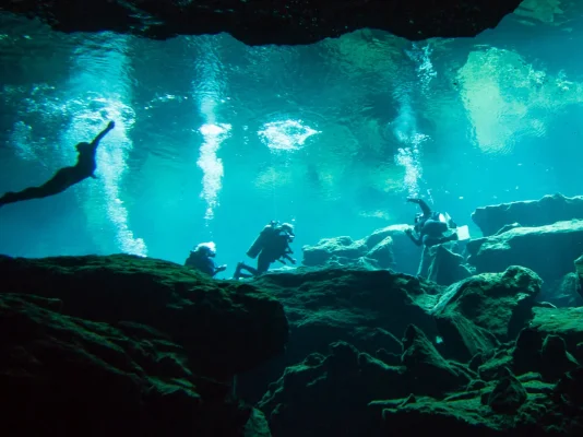 P6101389.webp P6101389.webp