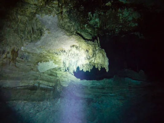 P6101396.webp P6101396.webp