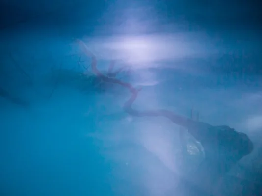 P6111555.webp P6111555.webp