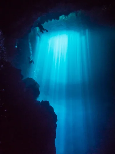 P6111622.webp P6111622.webp