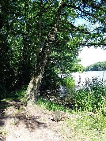 ranta.webp ranta.webp