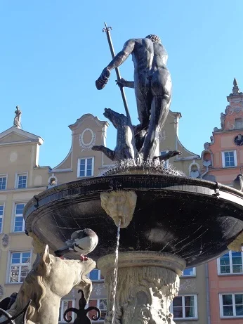 patsas.webp patsas.webp