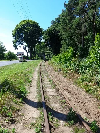 raide.webp raide.webp