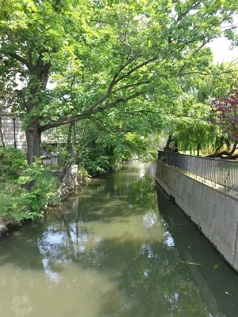 maisemaa.webp maisemaa.webp