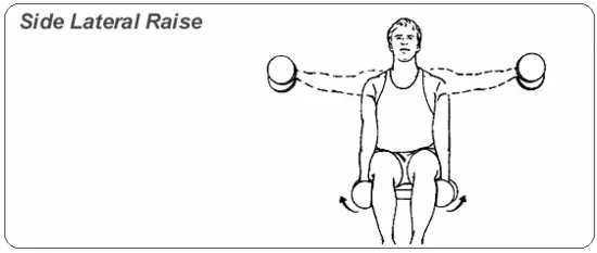 side-lateral-raise.webp