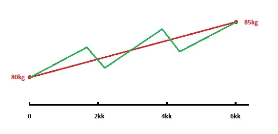 bulkki.webp bulkki.webp