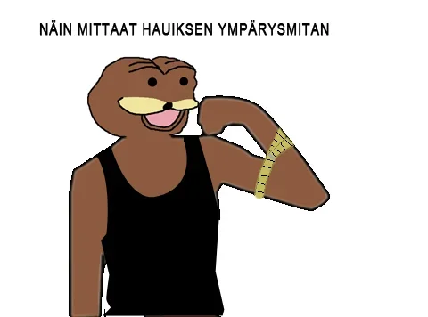 MITTAUS YLILAUTA FIT EDITION.webp