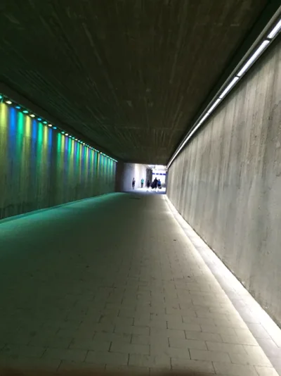 IMG_6585.webp IMG_6585.webp