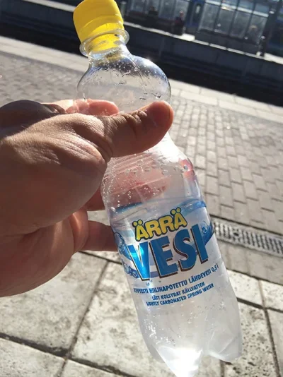 IMG_6586.webp IMG_6586.webp