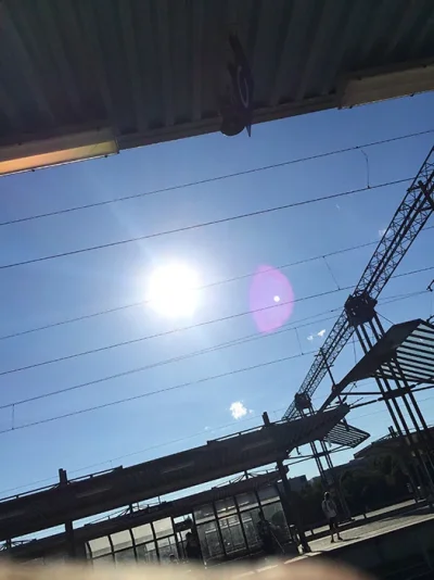 IMG_6587.webp IMG_6587.webp