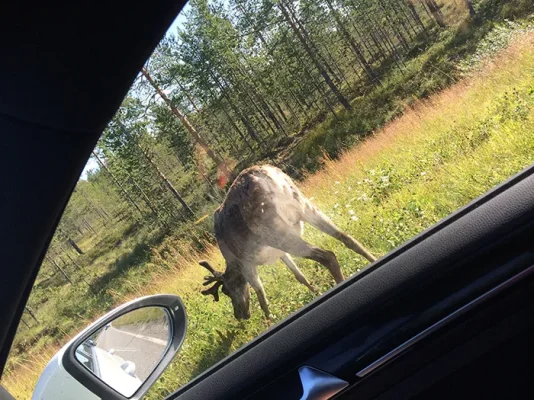 IMG_6604.webp IMG_6604.webp